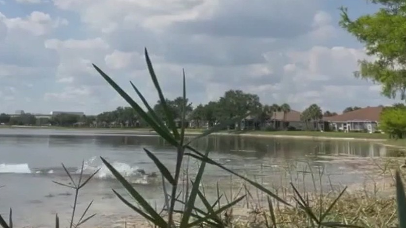 Tragic Encounter: Florida Teen Succumbs in Struggle with Gator Over Fish
