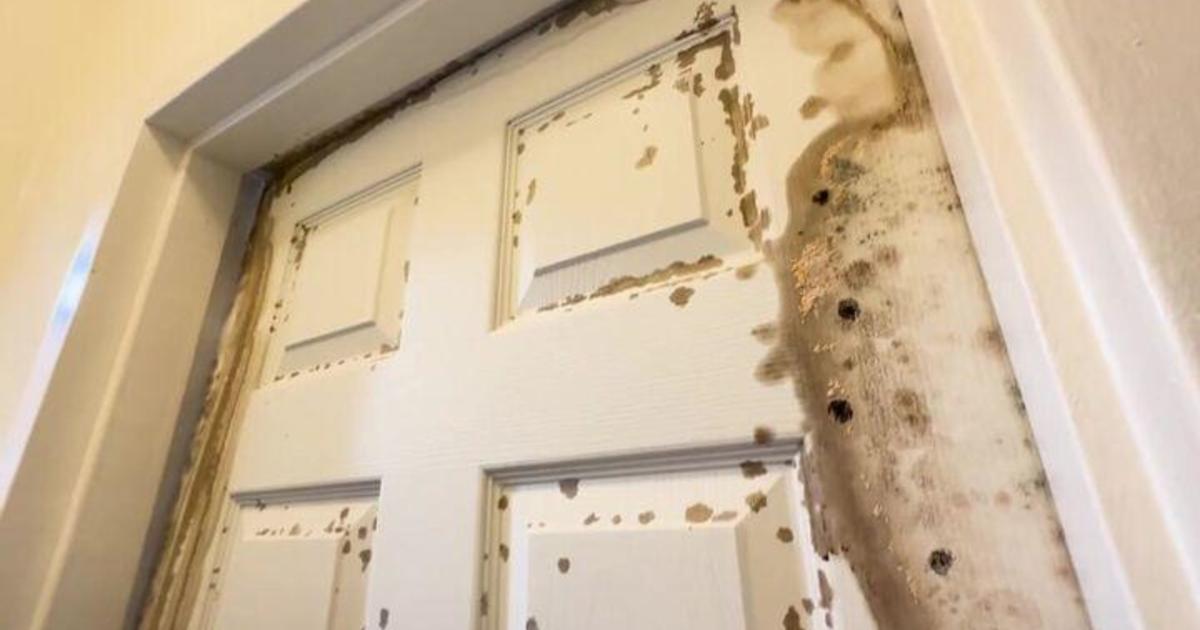 Bronx Resident's Bedroom Left Rotting in Mold for Months, Prompting Health Concerns