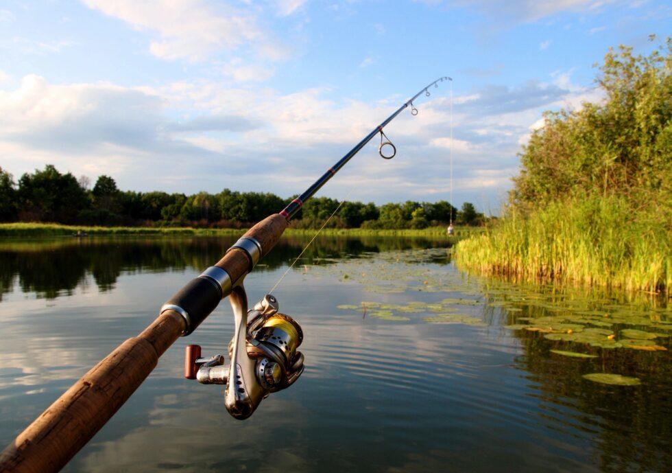 Georgia Ranks 7th in Rapid Growth of Fishing Enthusiasts Nationwide