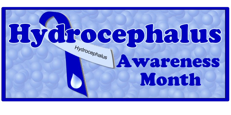 Hydrocephalus Awareness and Research Champion Families Community Support