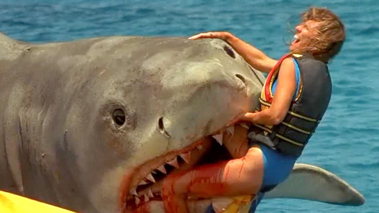 Teen Recounts Terrifying Encounter: Bitten by Shark at Galveston Beach