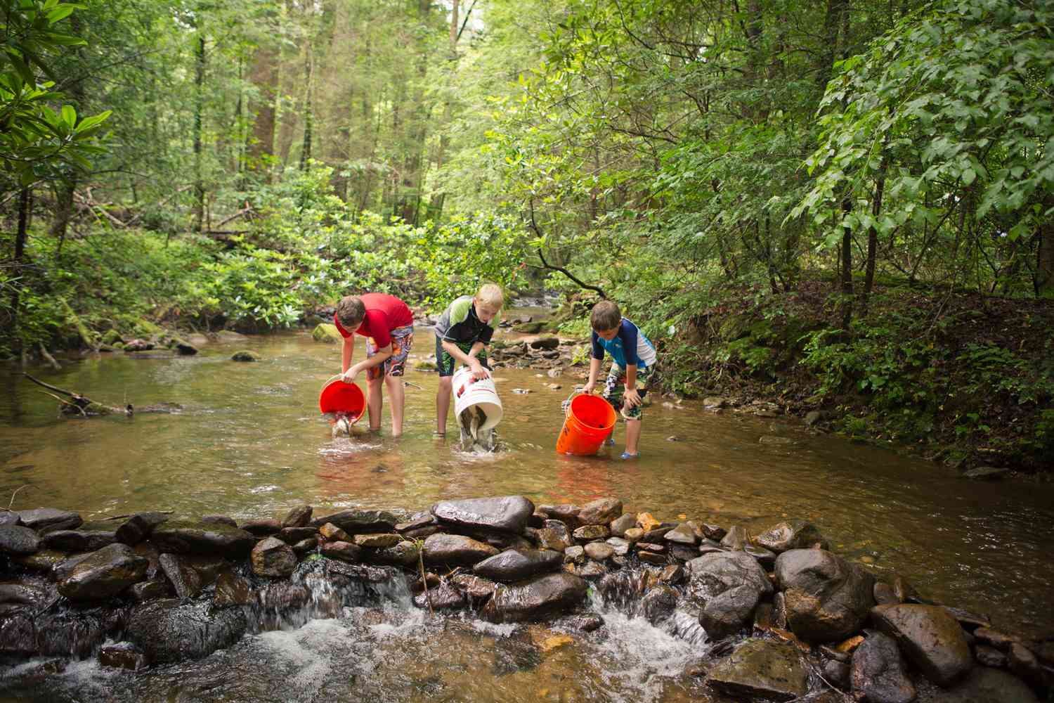 Discover North Georgia’s Hidden Mountain Towns