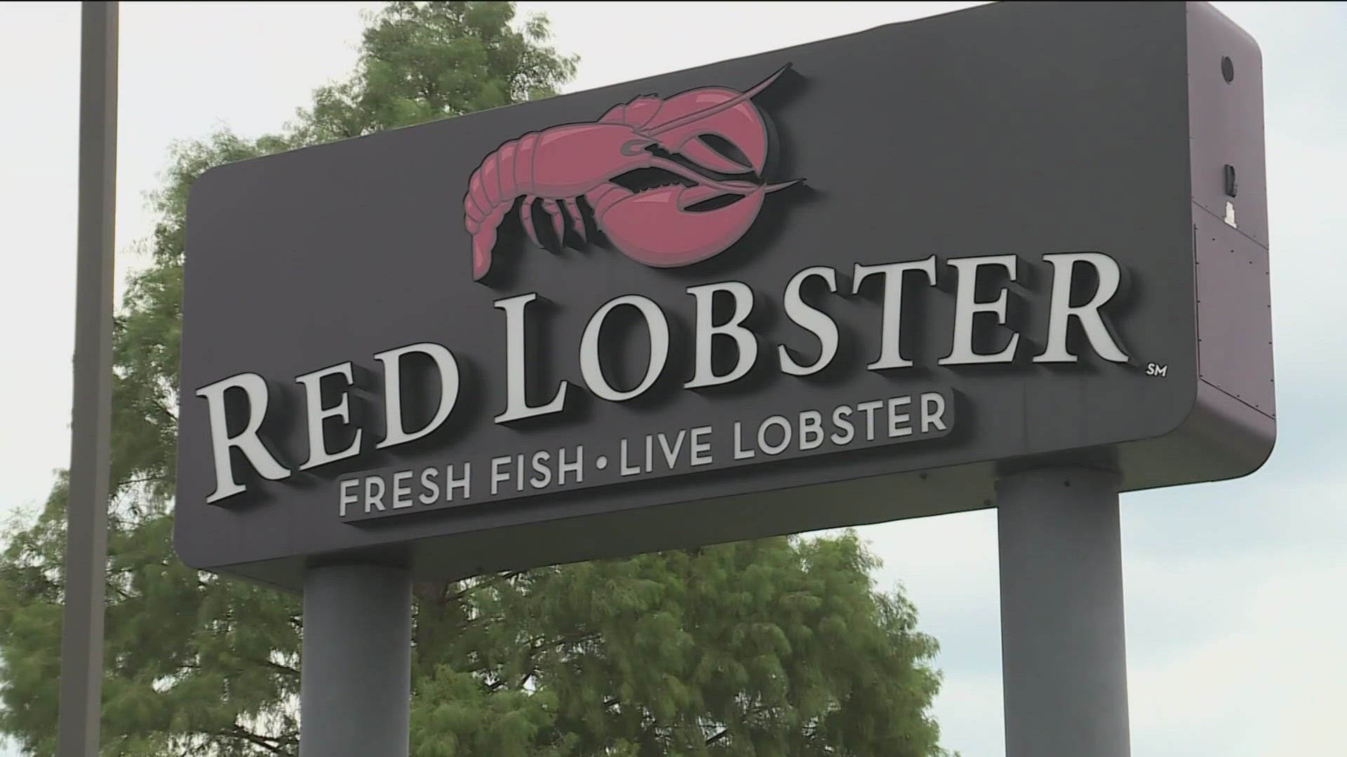 Four Georgia Red Lobster Locations at Risk of Closure Amid Bankruptcy Proceedings