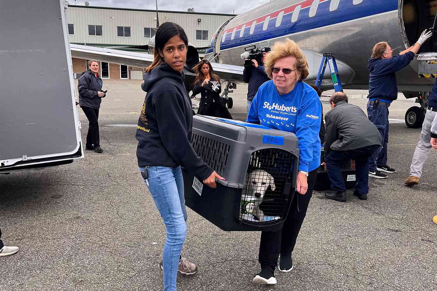 Lifesaving Airlift Brings 90+ Shelter Pets to New Jersey for a Second Chance