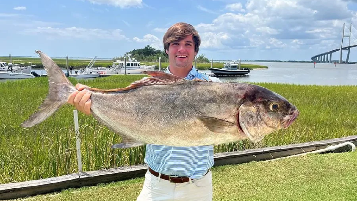 St. Simons Island’s James W. Thompson Sets New State Record for Almaco Jack