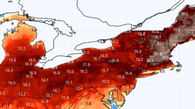 Greater Cincinnati Set to Experience Rare Heatwave No Temperatures Like This in 10 Years