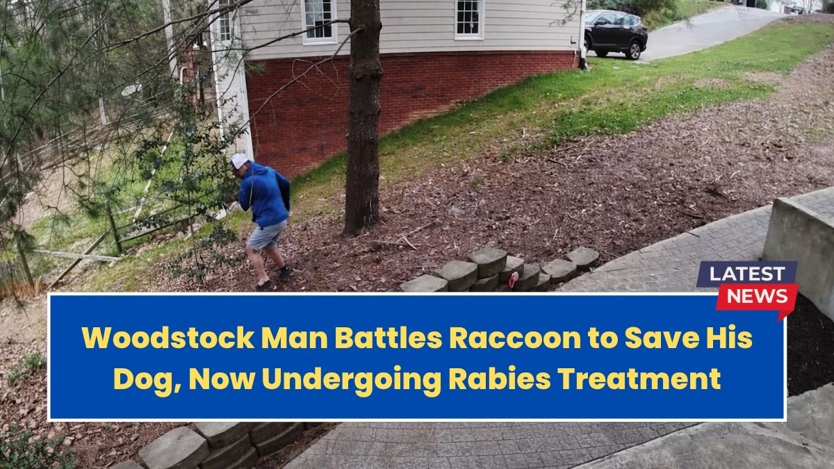 Woodstock Man Battles Raccoon to Save His Dog, Now Undergoing Rabies Treatment